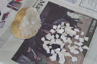 DSC04241.JPG DSC04241.JPG