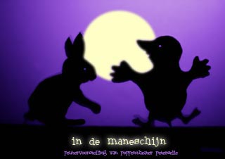 Maneschijn